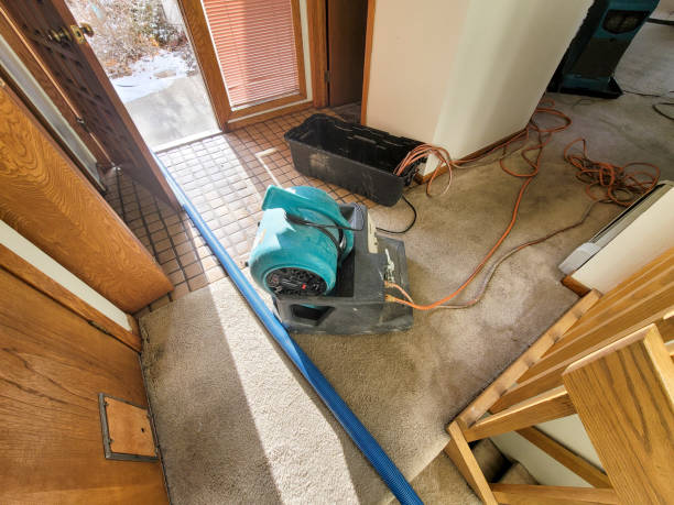 Best 24-hour water damage restoration  in Eugene, OR